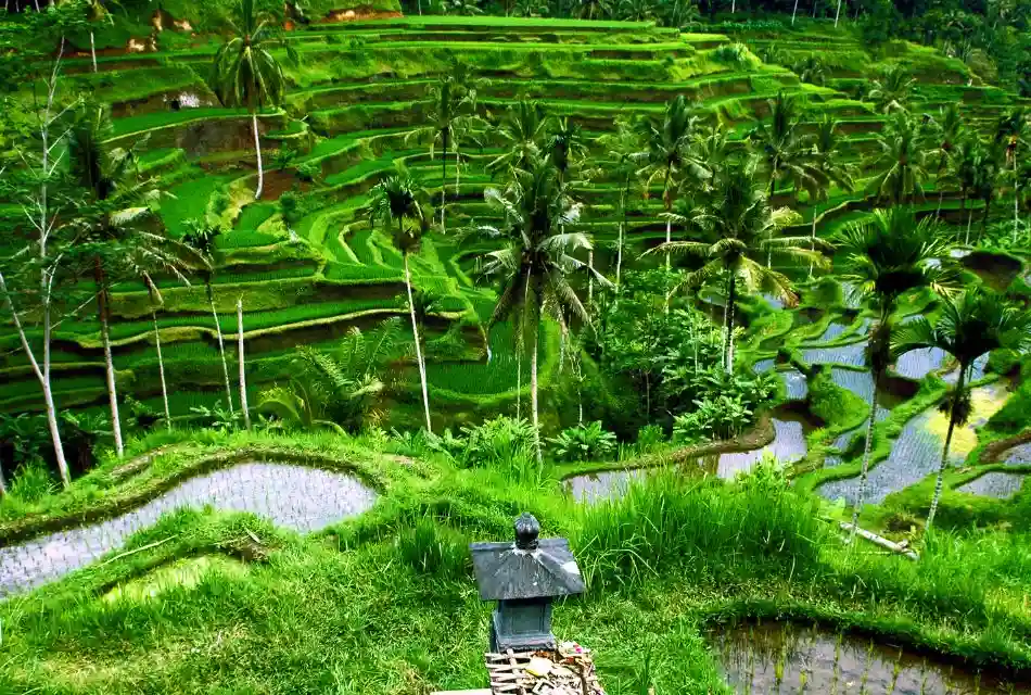 itinerary sight image